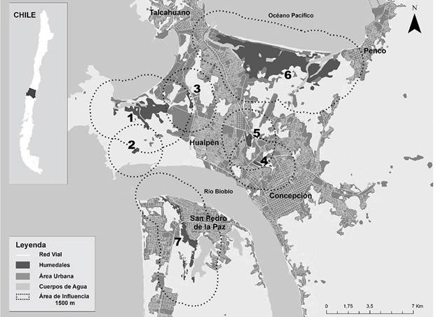 Área de
Estudio: Mapa Ubicación de Humedales. Nota: (1) Humedal Lenga; (2) Humedal
Laguna Verde; (3) Humedal Sector Cuatro Esquinas; (4) Humedal Paicaví; (5)
Humedal Parque Central; (6) Humedal Rocuant – Andalién; y (7) Humedal Los
Batros.