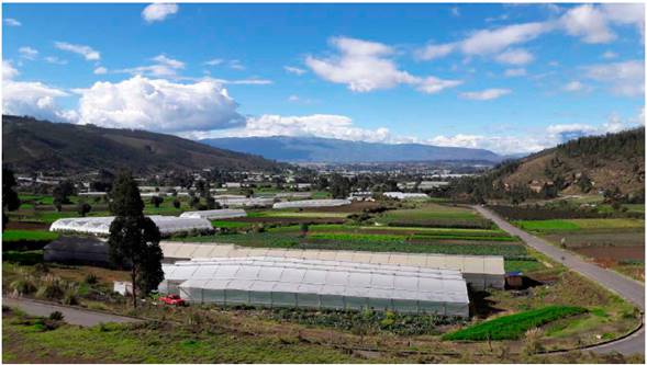 Visión del paisaje en San Luis en 2016. Entre parcelas de hortalizas e invernaderos de tomates, la agricultura especializada de San Luis.