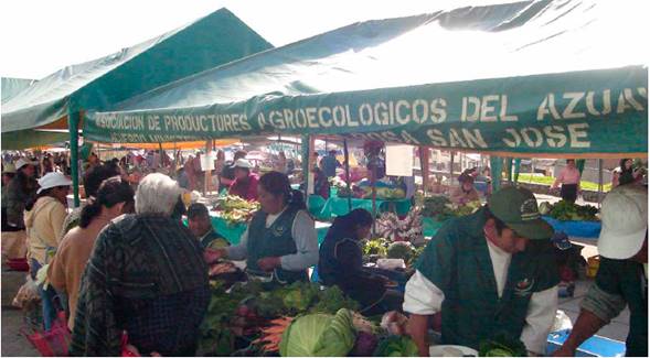 Visión de la feria de Miraflores en Cuenca en 2009. Los productores agroecológicos con sus uniformes verdes, que les permiten distinguirse de los vendedores intermediarios, simbolizan la redefinición reciente de las relaciones campo-ciudad en la región cuencana.