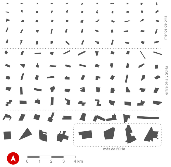 The 123 morphological units ordered by size from smallest to largest.