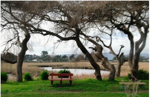 Vista de la desembocadura del Estero Maule.