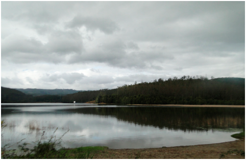 Vista de la laguna de Quiñenco.