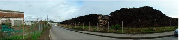 A view of the road connecting Puchoco and Maule. The view to the sea is blocked by the wooden stacks of Cabo Froward Shipping Company.