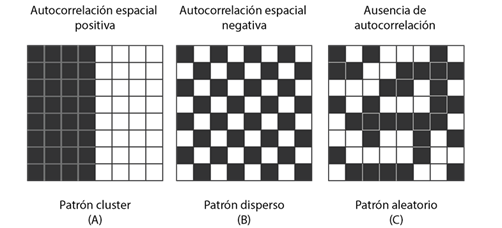 Spatial patterns and spatial autocorrelation.