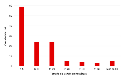Número de unidades (eje de ordenadas) distribuidas por rangos de superficie en Hectáreas (eje de abscisas).